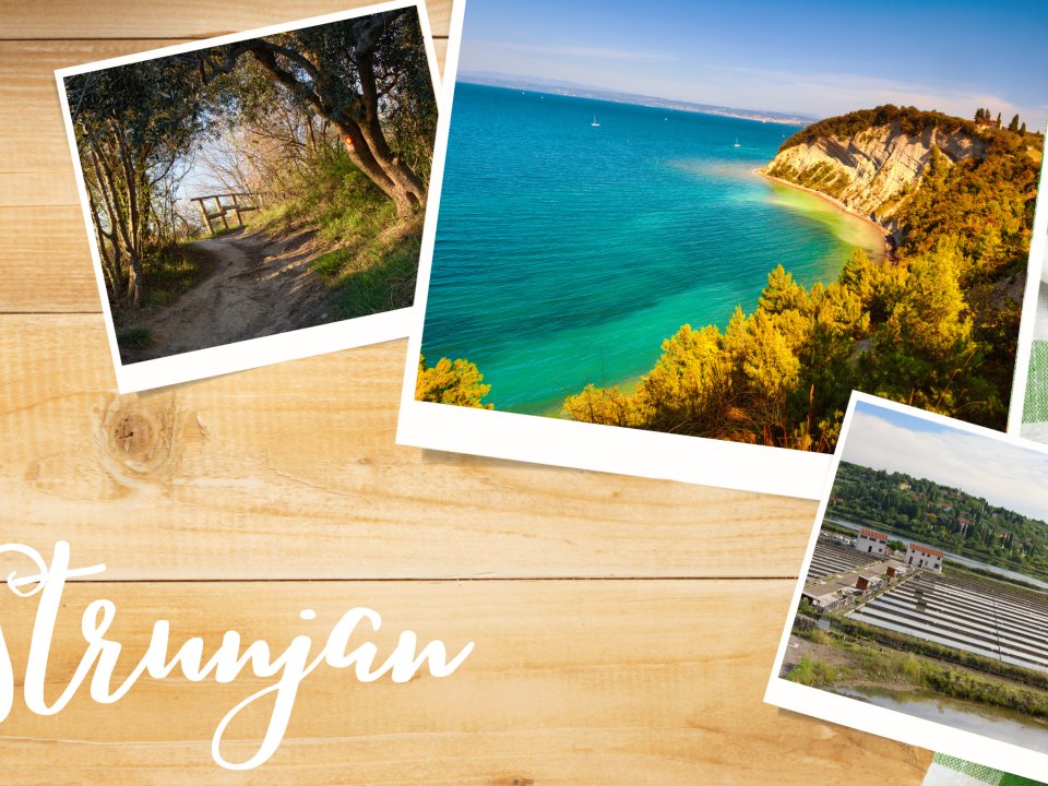 Ala &scaron;u...Gremo v Strunjan