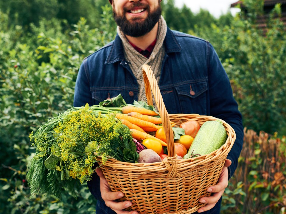 Aktivno v pomlad za trajnostno prihodnost Slovenske Istre!