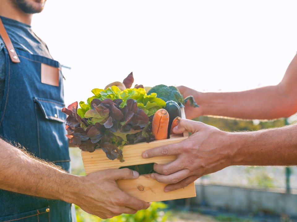 Podprimo lokalne pridelke in trajnostno kmetijstvo v Slovenski Istri!