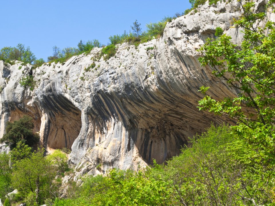 Svetovni dan biotske raznovrstnosti