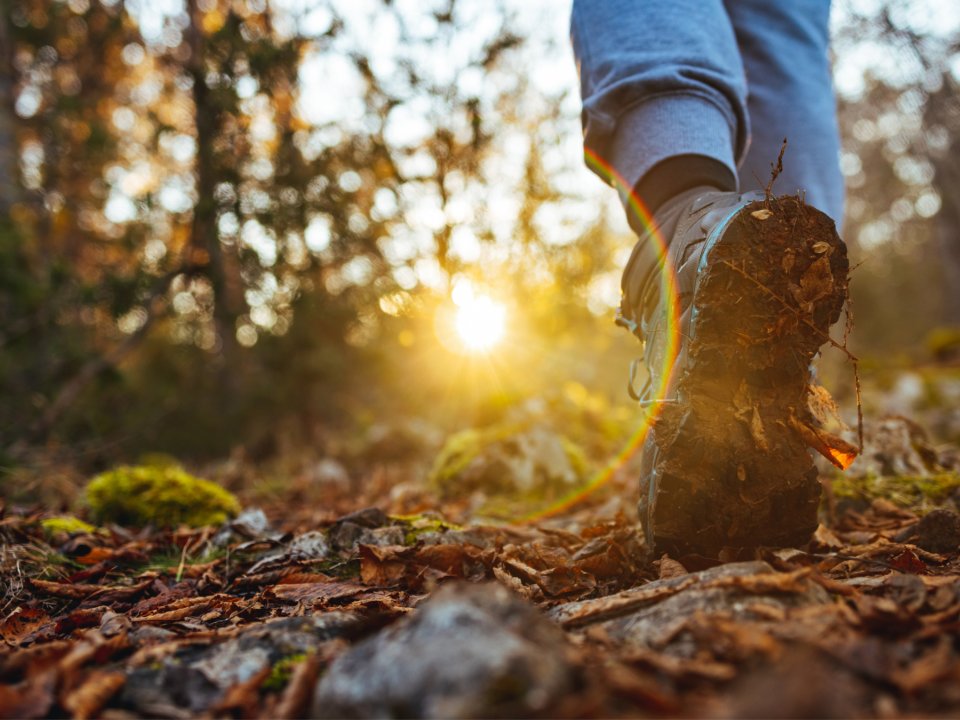 V koraku z naravo: Varujmo okolje Slovenske Istre!