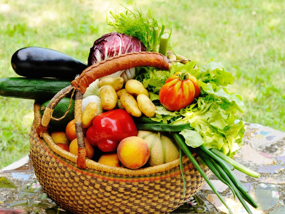 Podpora lokalnim kmetom in ekolo&scaron;ki pridelavi &ndash; Okusi Slovenske Istre