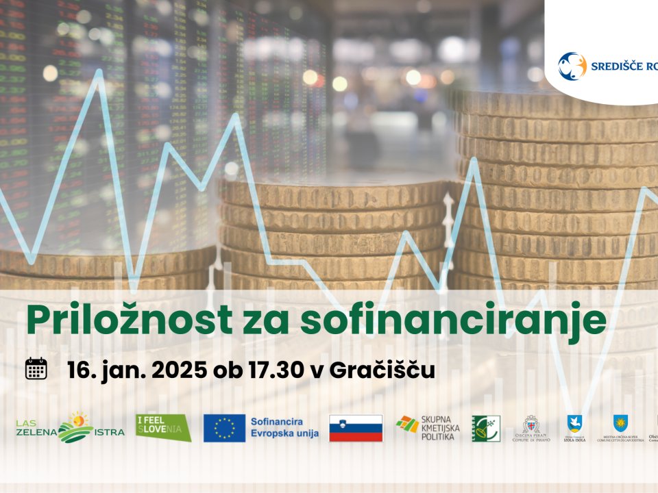 Vabilo na tematsko delavnico: Priložnosti za sofinanciranje, Grači&scaron;če