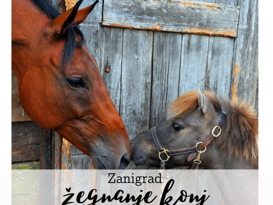 Žegnanje konj v Zanigradu na &Scaron;tefanovo