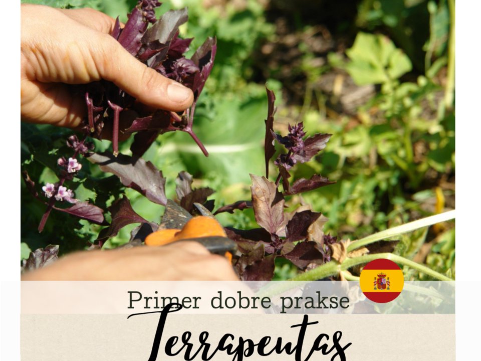 Primer dobre prakse: Terrapeutas