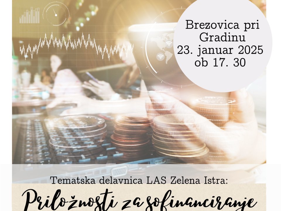 Vabilo na tematsko delavnico: Priložnost za sofinanciranje, Brezovica pri Gradinu