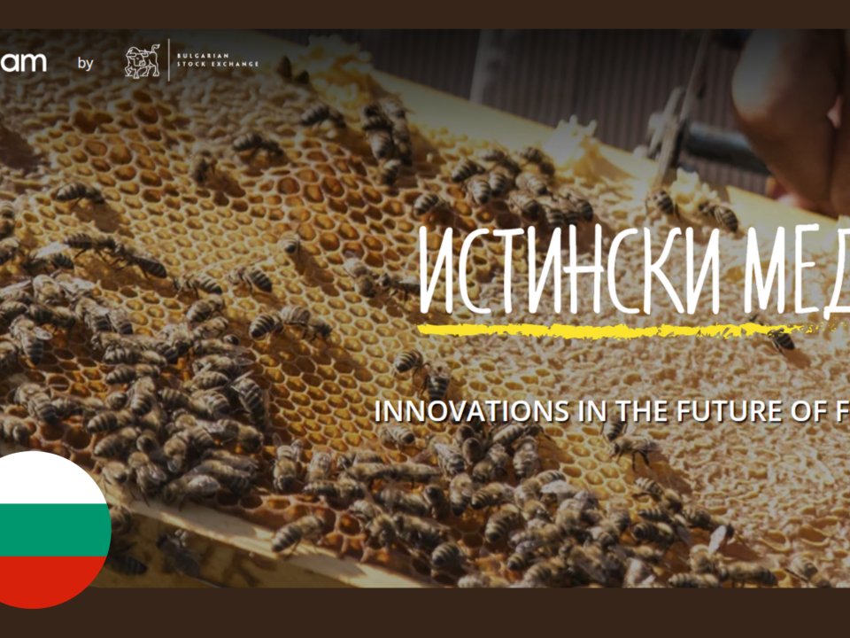 Primer dobre prakse: Pametna tehnologija v podporo čebelarstvu: Bee Smart Technologies