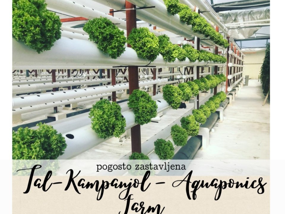 Primer dobre prakse: Visokotehnolo&scaron;ko in okolju prijazni kmetijstvo na Malti