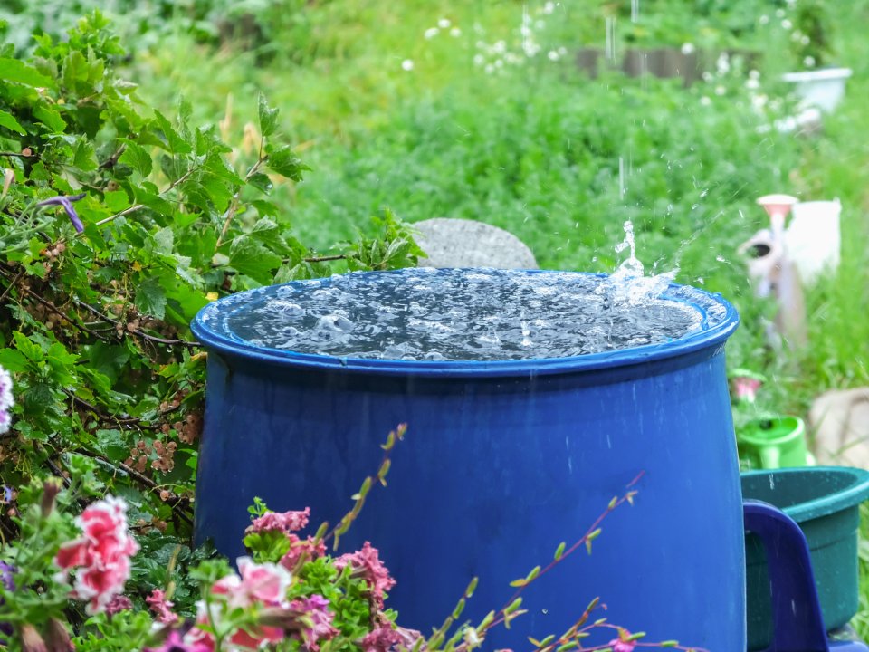 Zbiranje deževnice &ndash; pameten korak k trajnostni samooskrbi