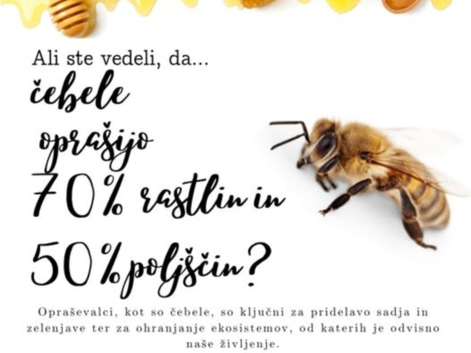 Ali ste vedeli, da čebele opra&scaron;ijo 70% rastlinin 50% polj&scaron;in?