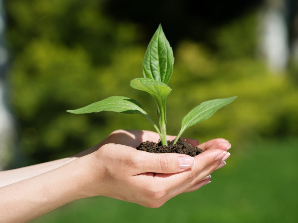 OBJAVLJENI JAVNI RAZPISI ZA NEVLADNE ORGANIZACIJE